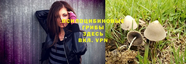 кокс Абдулино
