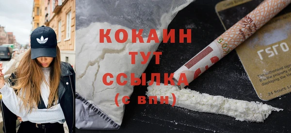 гашик Слюдянка