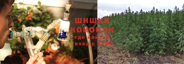 тгк Магас